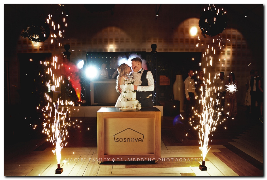 fotografia ślubna Poznań